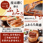 [Gift Set] Seared Bonito (Katsuo no Tataki), 1-2 fillets + Eel from Kochi Prefecture, 1-2 fish