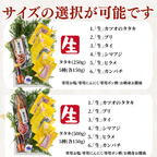 Striped Jack Sashimi ＜1 block, Net Wt. 150g＞