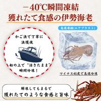 訳あり 冷凍 伊勢海老 ＜匹数：1~3尾　量：300g〜2100g　目安：1~4.5人前＞