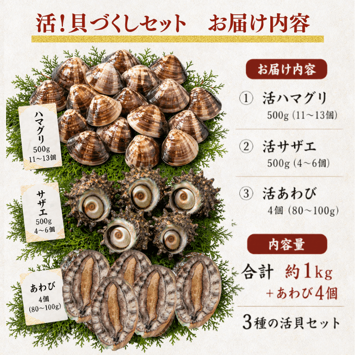 【BBQセット/貝づくし】ハマグリ/サザエ/あわび
