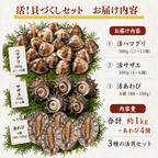 【BBQセット/貝づくし】ハマグリ/サザエ/あわび