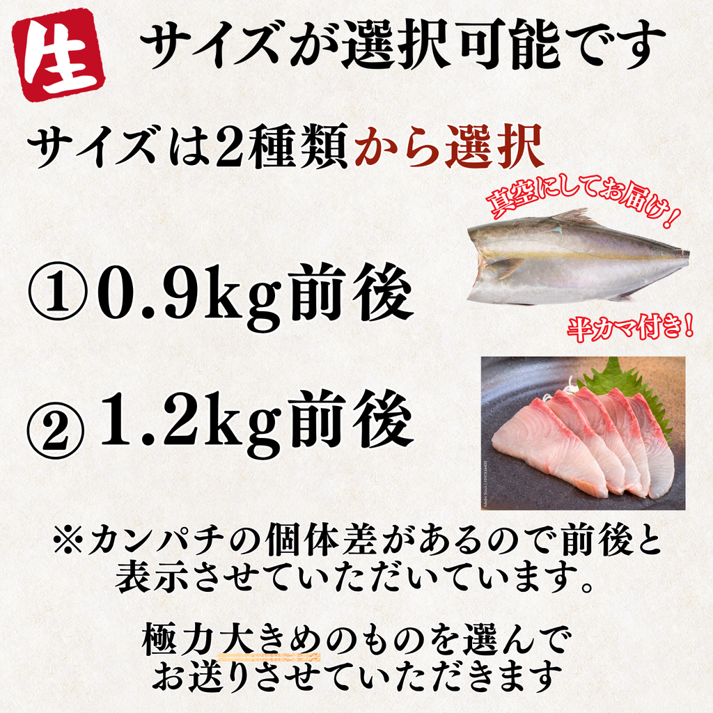 カンパチフィーレ ＜片身　量：900g～1.2kg＞