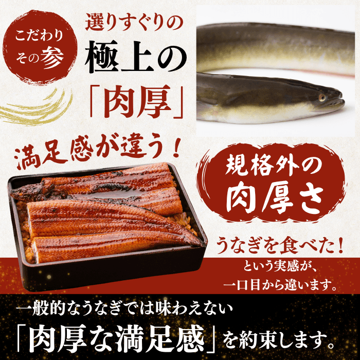 [Gift Set] Seared Bonito (Katsuo no Tataki), 1-2 fillets + Eel from Kochi Prefecture, 1-2 fish