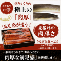 [Gift Set] Seared Bonito (Katsuo no Tataki), 1-2 fillets + Eel from Kochi Prefecture, 1-2 fish
