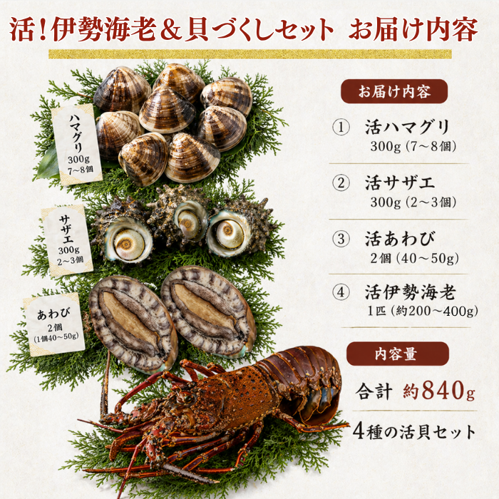 活き 伊勢海老＆貝づくしセット お届け内容 合計約840g 4種の活貝セット
