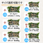 天然アユ サイズ選択表 小・中・大・特大の入数と重量