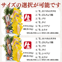 【お刺身セット6種】生カツオのタタキ(1節 or 半節)+ビンチョウマグロ/ブリ/タイ/シマアジ/ヒラメ(各柵150g)