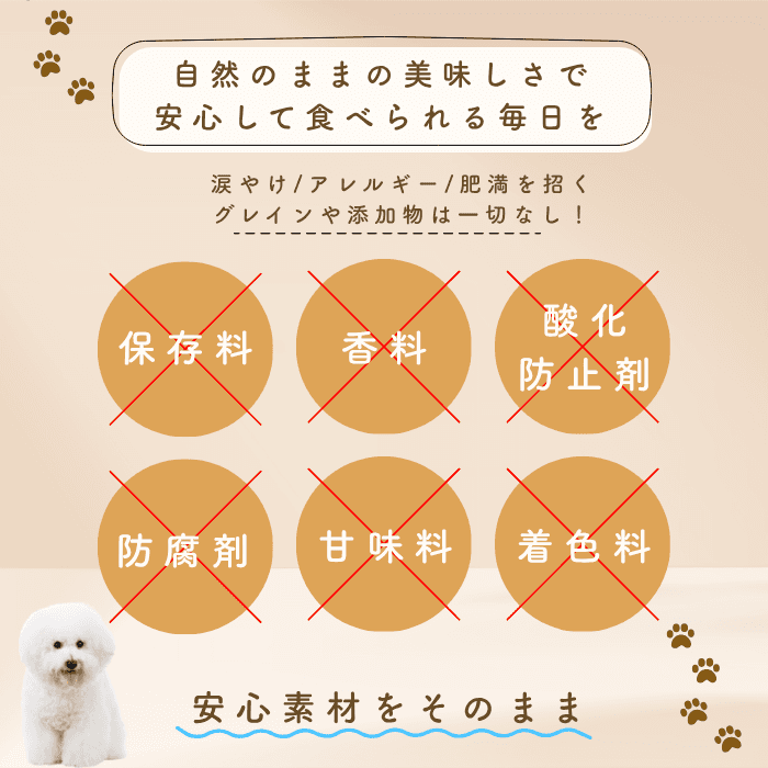 ototo: An additive-free pet food for dogs and cats, passionately created by a second-generation fishmonger.