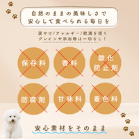 ototo: An additive-free pet food for dogs and cats, passionately created by a second-generation fishmonger.