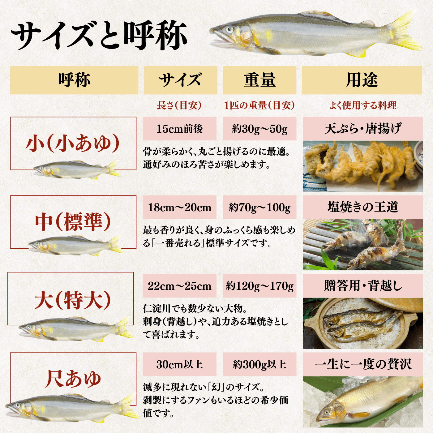 天然アユ サイズと呼称の表 小あゆ 中 大 尺あゆ 用途別