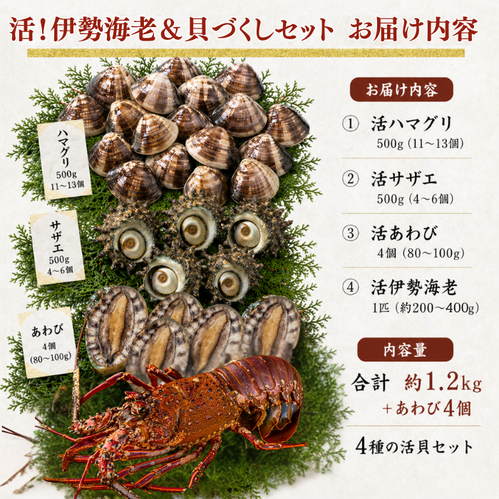 活き 伊勢海老＆貝づくしセット お届け内容 合計約1.2kg あわび4個入り