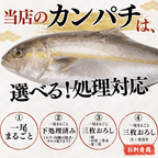 カンパチ ＜一本　量：3～4kg＞