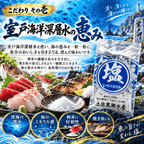 土佐黒潮水産の塩 室戸海洋深層水使用 ＜内容量：14g＞