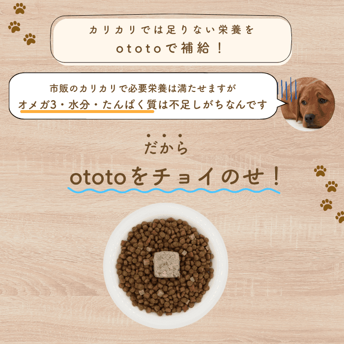 ototo: An additive-free pet food for dogs and cats, passionately created by a second-generation fishmonger.