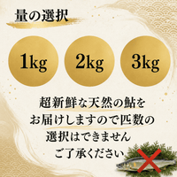 天然アユ 量の選択 1kg 2kg 3kg 匹数の指定は不可