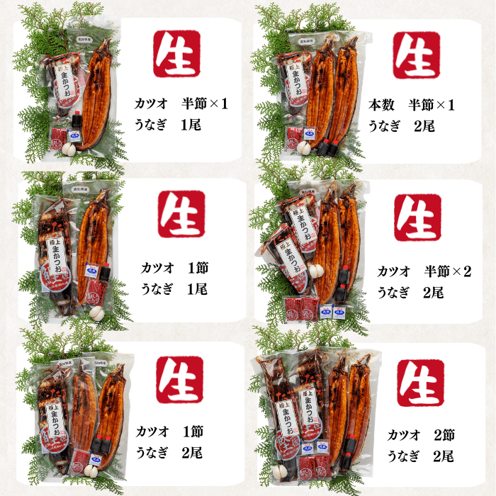 [Gift Set] Seared Bonito (Katsuo no Tataki), 1-2 fillets + Eel from Kochi Prefecture, 1-2 fish