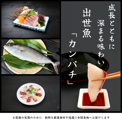 カンパチ ＜刺身1柵　量：300g＞