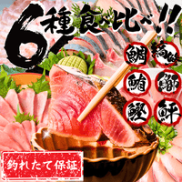 【お刺身セット6種】生カツオのタタキ(1節 or 半節)+ビンチョウマグロ/ブリ/タイ/シマアジ/ヒラメ(各柵150g)