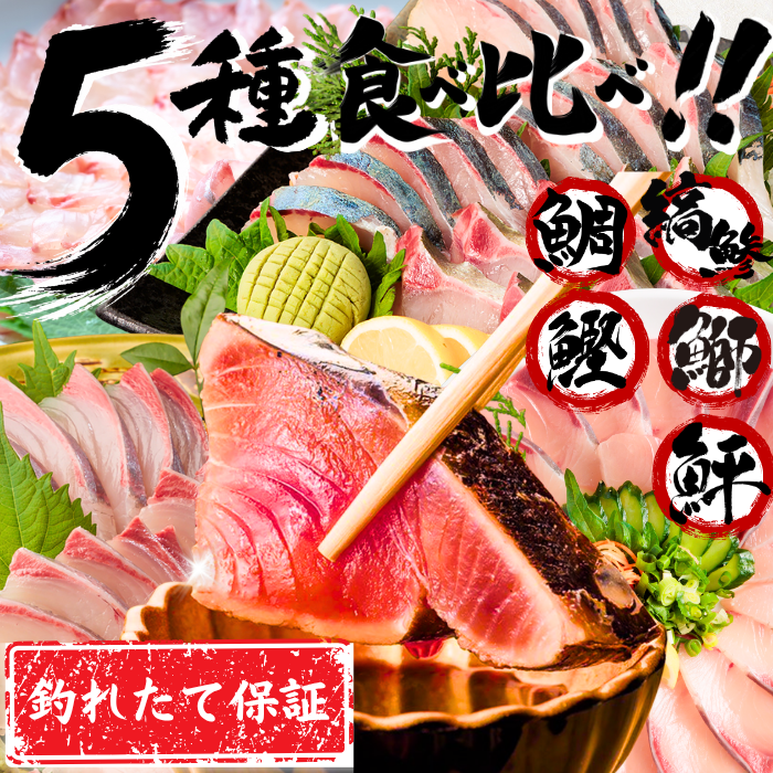 【お刺身セット5種】生カツオのタタキ(1節 or 半節)+ブリ/タイ/シマアジ/ヒラメ(各柵150g)