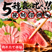 【お刺身セット5種】生カツオのタタキ(1節 or 半節)+ビンチョウマグロ/ブリ/タイ/シマアジ(各柵150g)