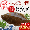 Flounder <1 fish, 800g> Gutting options available
