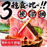 【お刺身セット3種】生カツオのタタキ(1節 or 半節)+ブリ/タイ(各柵150g)