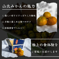 山北みかんの魅力 優しい甘さとさっぱりした酸味 食べやすさ 栄養豊富