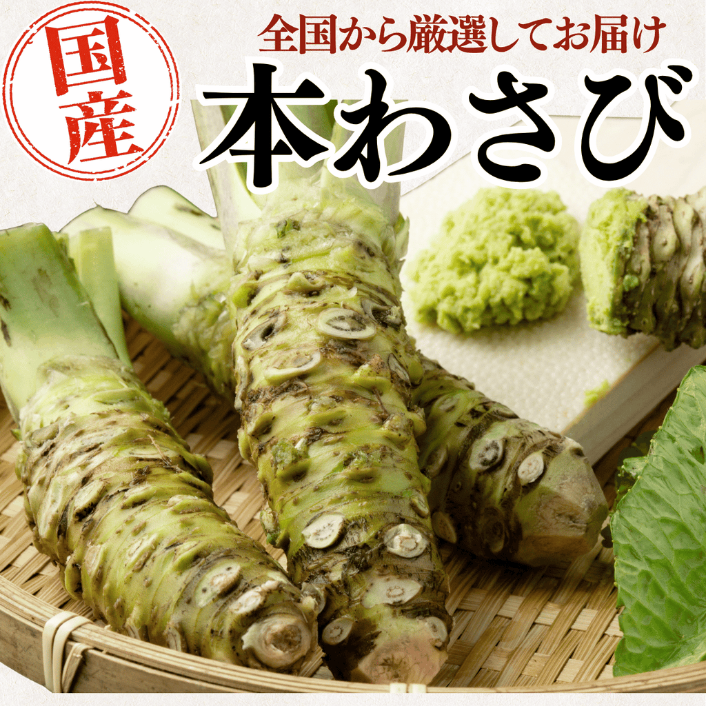 国産 本わさび ＜本数：1~3本　量：40~120g＞