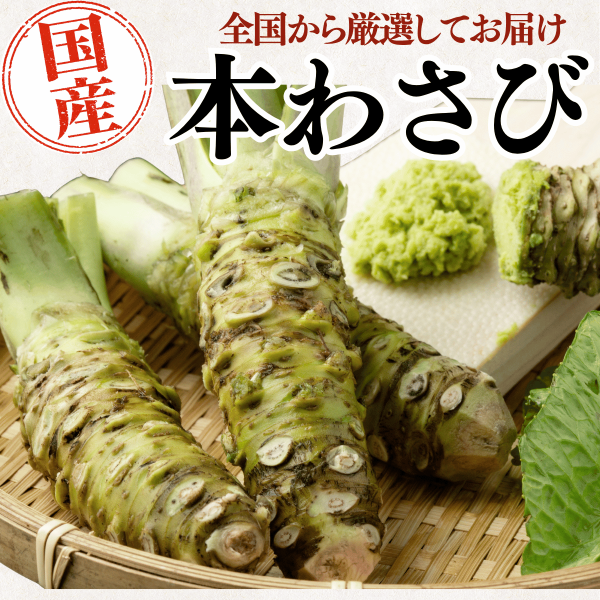 国産 本わさび ＜本数：1~3本　量：40~120g＞