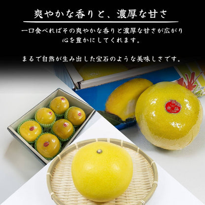 【訳アリ】水晶文旦 ＜量：5kg or 10kg＞