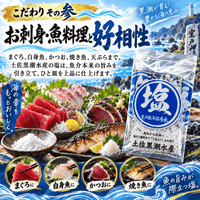 土佐黒潮水産の塩 室戸海洋深層水使用 ＜内容量：14g＞