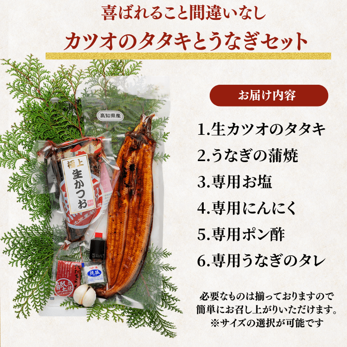 [Gift Set] Seared Bonito (Katsuo no Tataki), 1-2 fillets + Eel from Kochi Prefecture, 1-2 fish