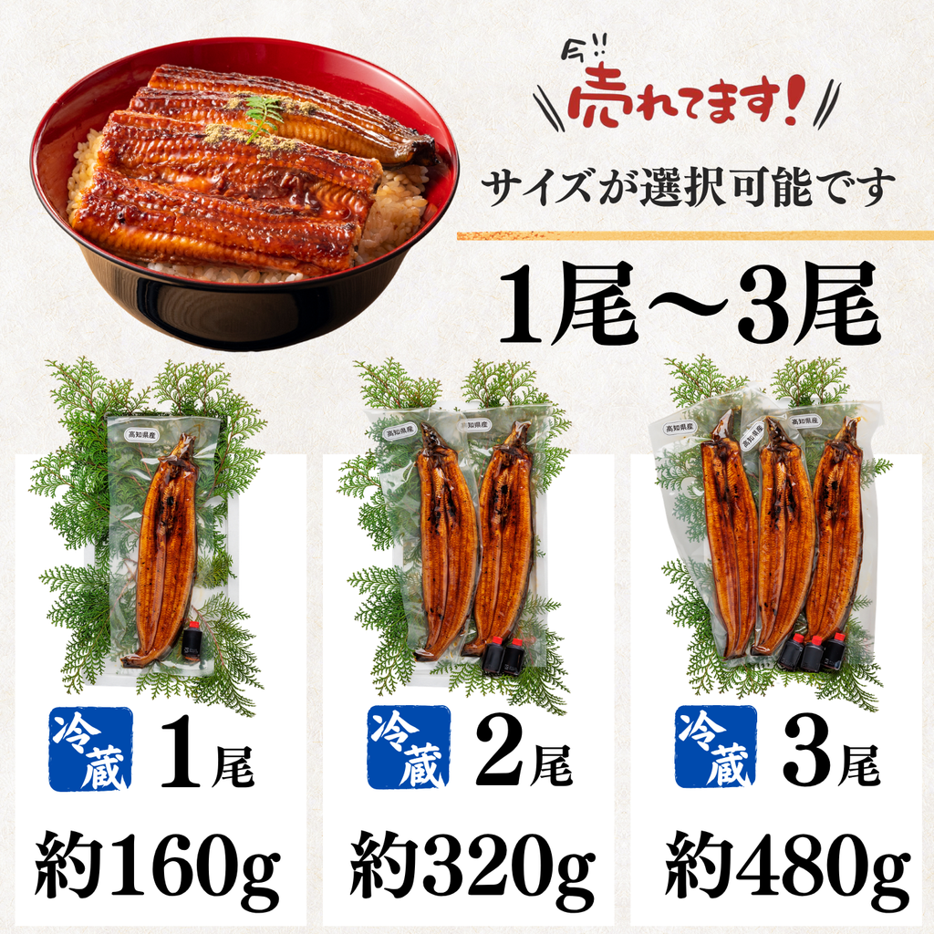 土佐の清流うなぎ 長蒲焼きセット ＜匹数：1~3尾　量：160~480g＞