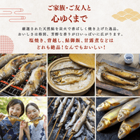 天然アユ 塩焼き 背越し 鮎ご飯 甘露煮 などの食べ方