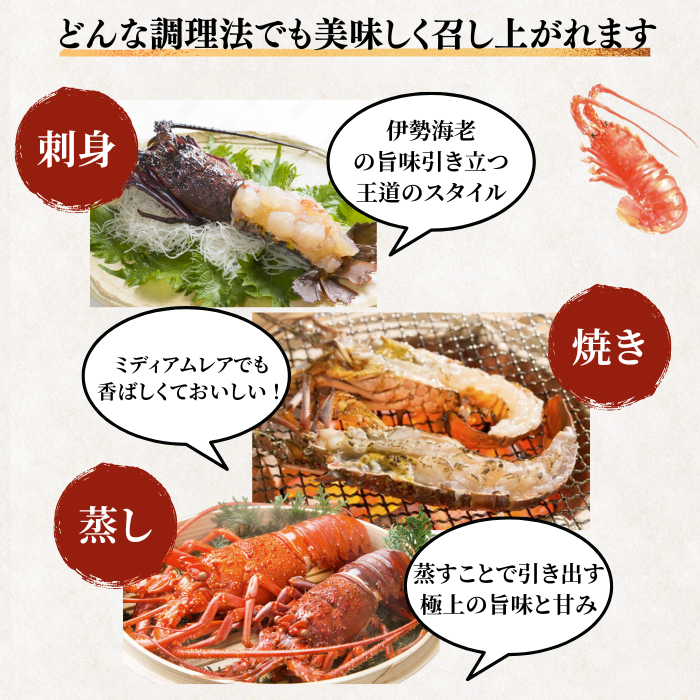 活き 伊勢海老 ＜匹数：1~3尾　量：150〜2100g　目安：1~4.5人前＞