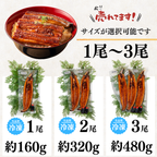土佐の清流うなぎ 長蒲焼きセット ＜匹数：1~3尾　量：160~480g＞