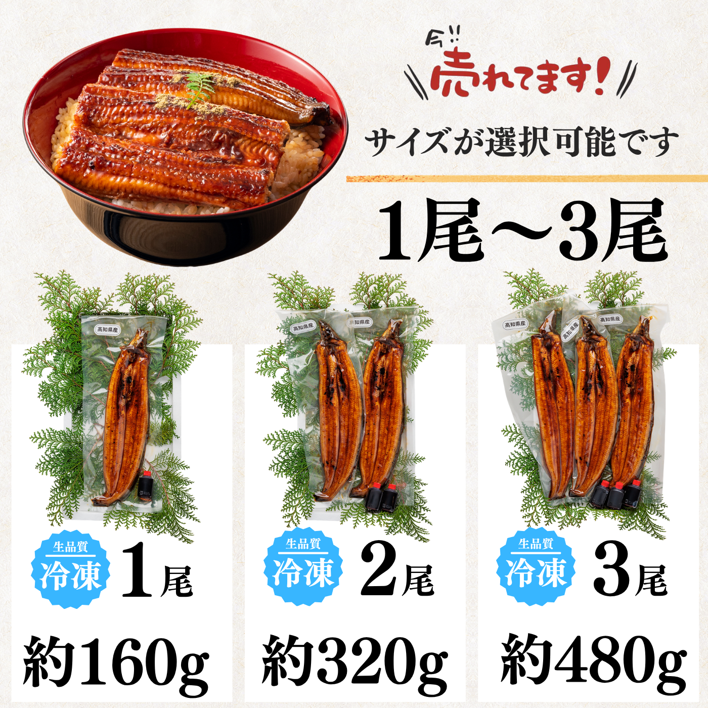 土佐の清流うなぎ 長蒲焼きセット ＜匹数：1~3尾　量：160~480g＞