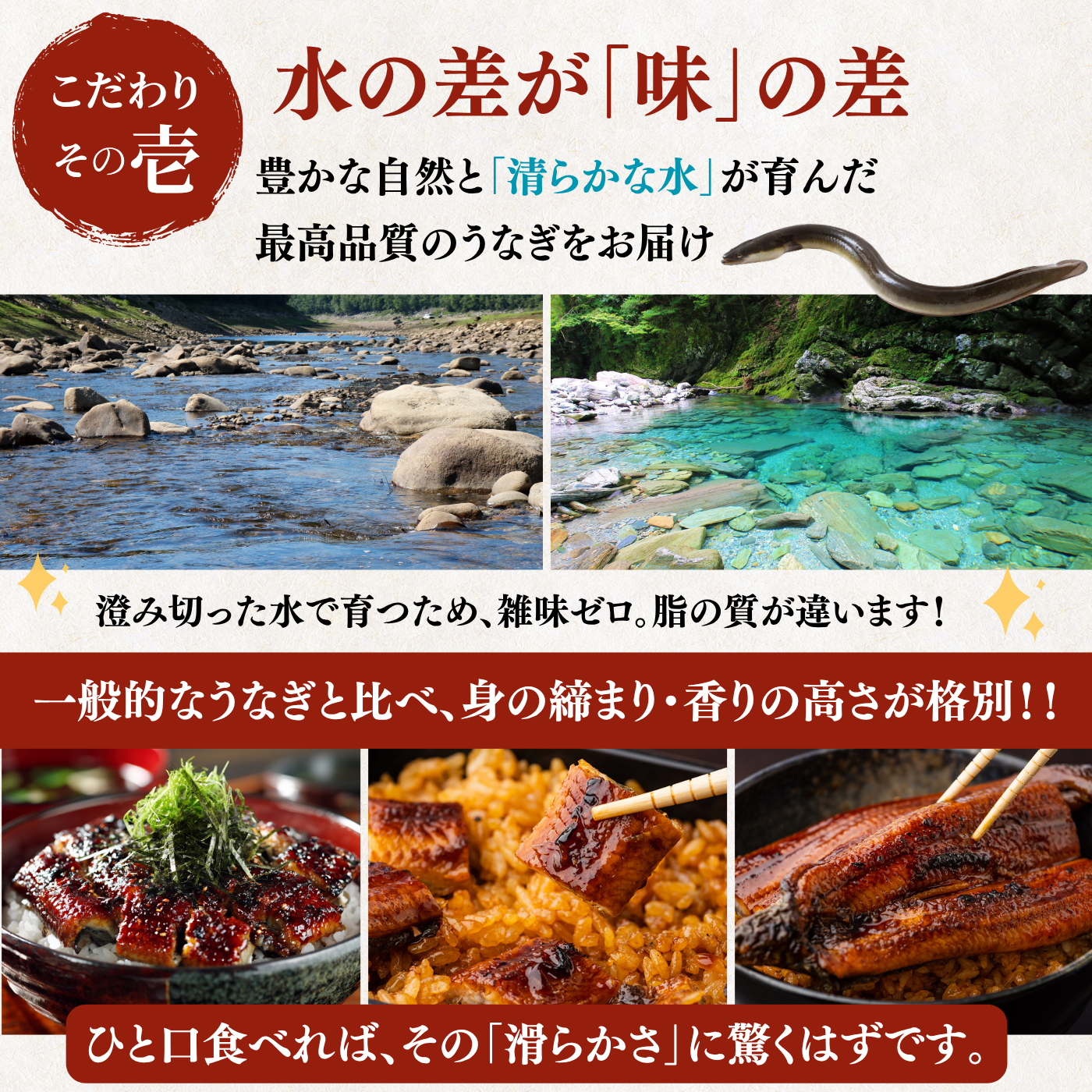 土佐の清流うなぎ 長蒲焼きセット ＜匹数：1~3尾　量：160~480g＞