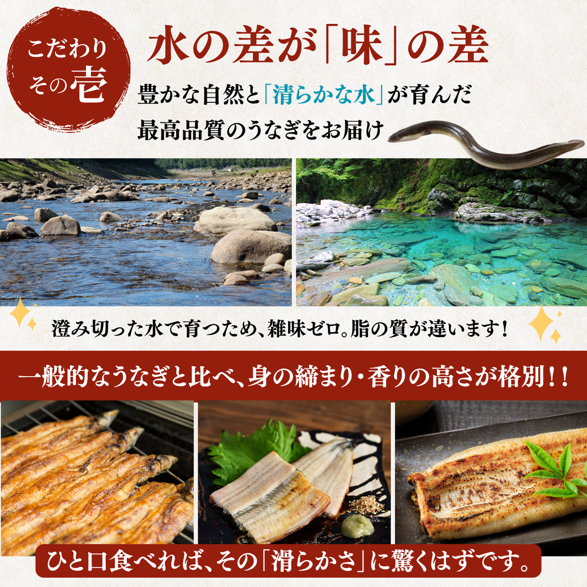 土佐の清流うなぎ 白焼きセット ＜匹数：1~3尾　量：160~480g＞