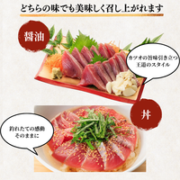 Frozen Bonito Sashimi ＜Number: 1/2 pc (x2) - 3 pcs. Weight: 500-1500g. Servings: 2-9 people.＞