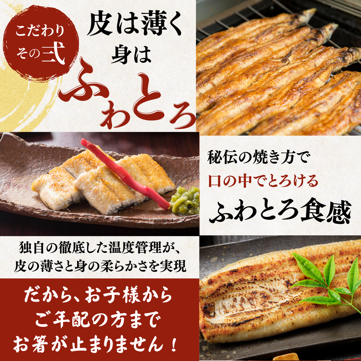 土佐の清流うなぎ 白焼きセット ＜匹数：1~3尾　量：160~480g＞