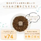 ototo: An additive-free pet food for dogs and cats, passionately created by a second-generation fishmonger.