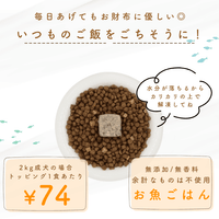 ototo: An additive-free pet food for dogs and cats, passionately created by a second-generation fishmonger.