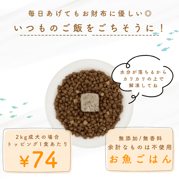ototo: An additive-free pet food for dogs and cats, passionately created by a second-generation fishmonger.