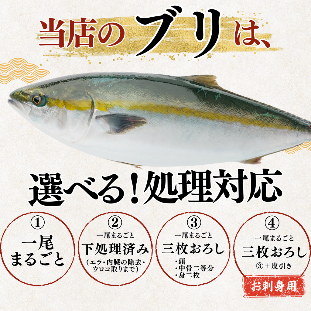 【活〆／下処理対応可能】ブリ ＜一本　量：4～5kg＞
