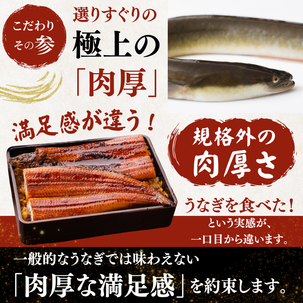 土佐の清流うなぎ 長蒲焼きセット ＜匹数：1~3尾　量：160~480g＞