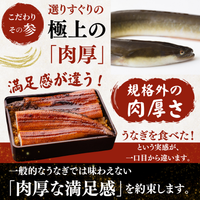土佐の清流うなぎ 長蒲焼きセット ＜匹数：1~3尾　量：160~480g＞