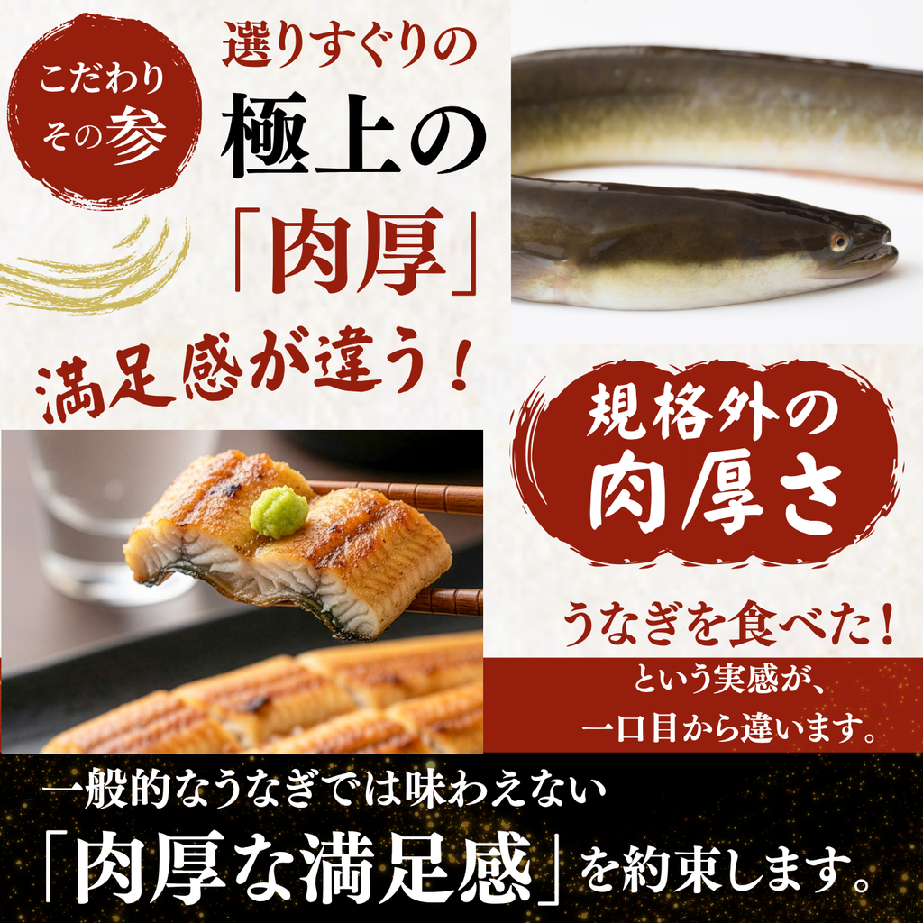 土佐の清流うなぎ 白焼きセット ＜匹数：1~3尾　量：160~480g＞