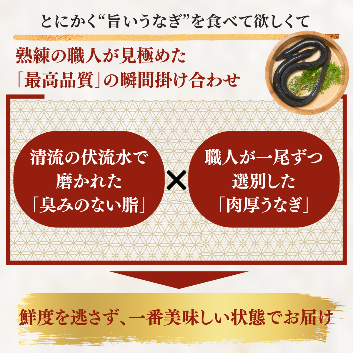 土佐の清流うなぎ 白焼きセット ＜匹数：1~3尾　量：160~480g＞
