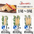 土佐の清流うなぎ 白焼きセット ＜匹数：1~3尾　量：160~480g＞